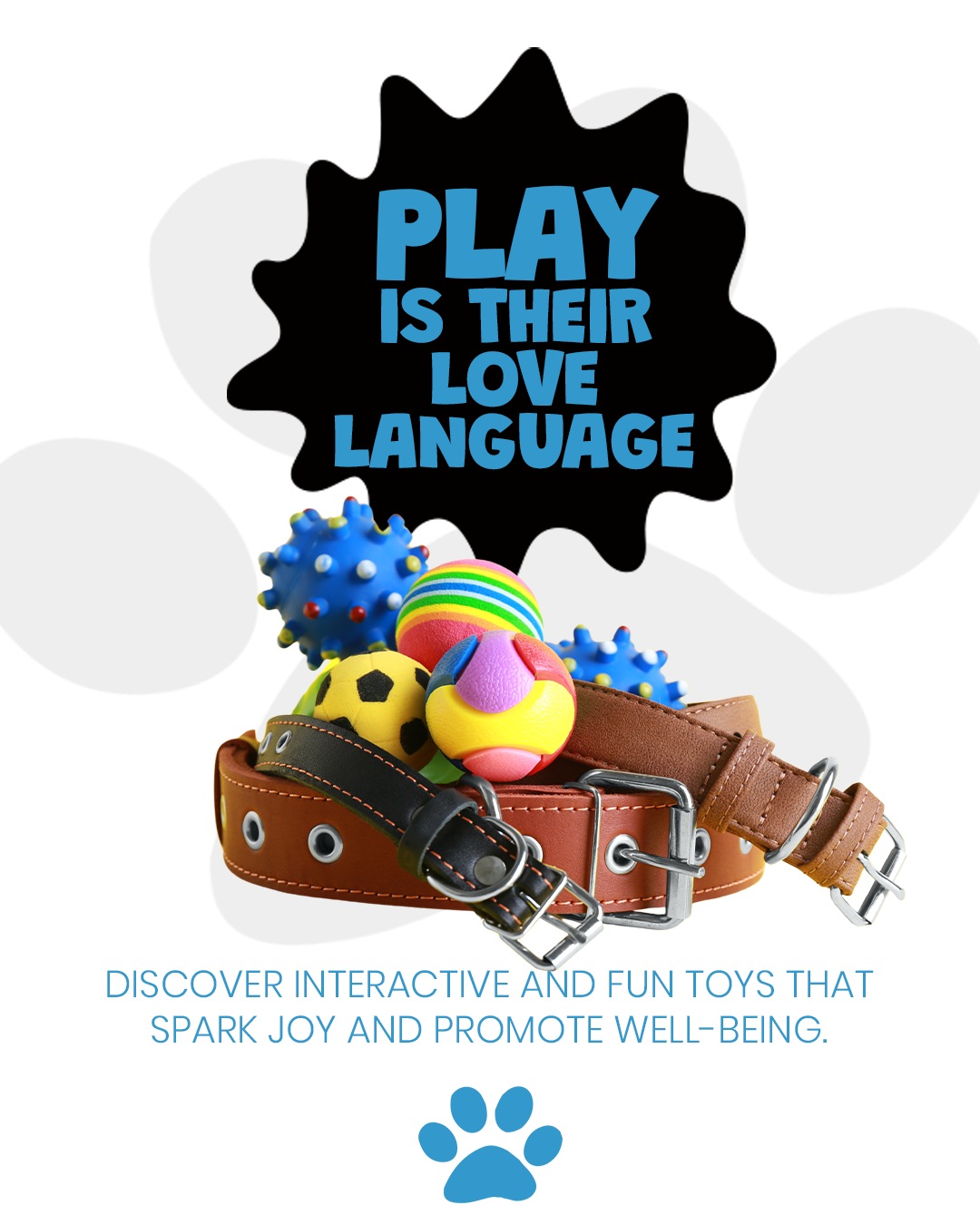 Pet Toys & Enrichment