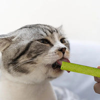 Cat Grass Teething Stick Molar Chew Stick Toy For Indoor Cats Natural Ingredients Grass Tooth Grinding Stick For Medium Cats